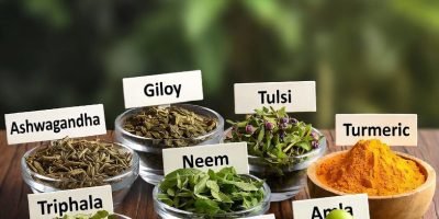 ayurvedic immunity booster herbs 2026 benefits uses scientific evidence ayurvedic immunity booster herbs 2026 benefits uses scientific evidence